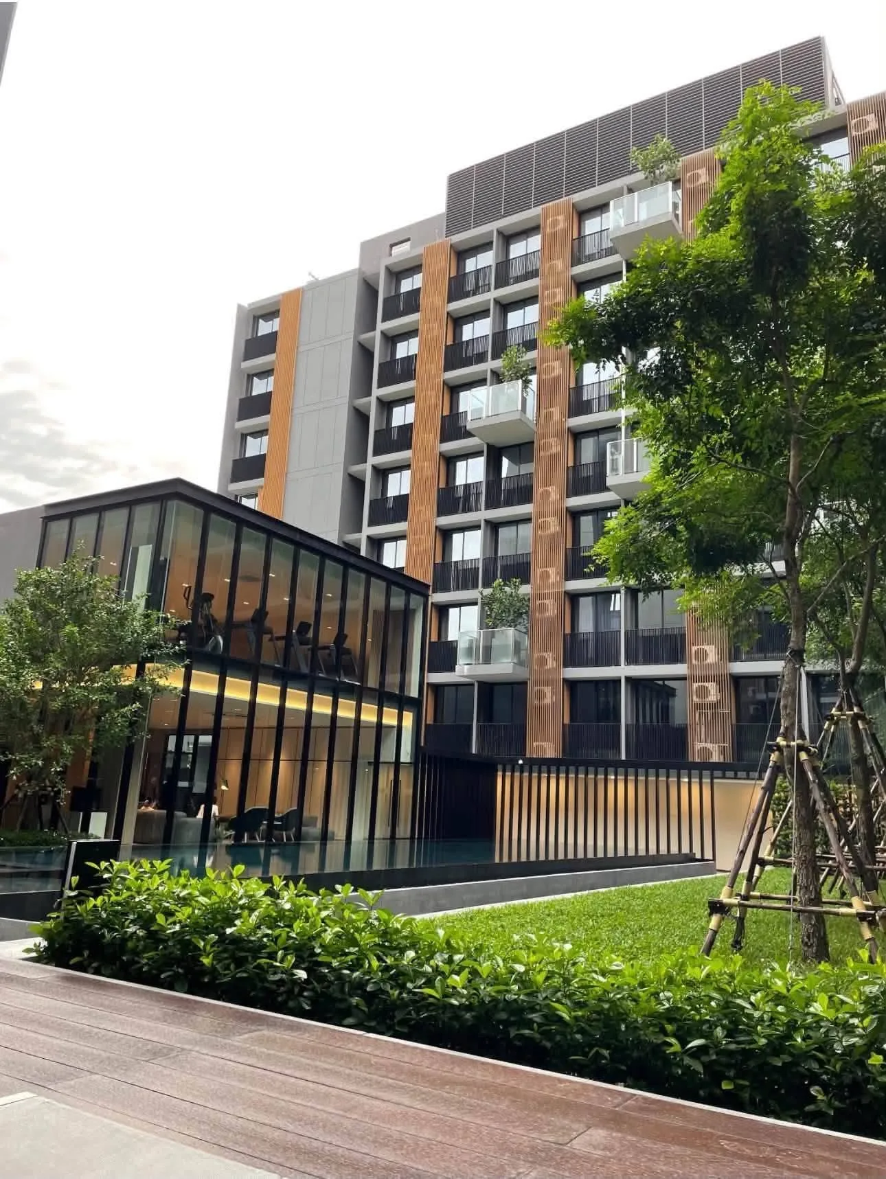 🏡  For Rent – Noble Ambience Sukhumvit 42