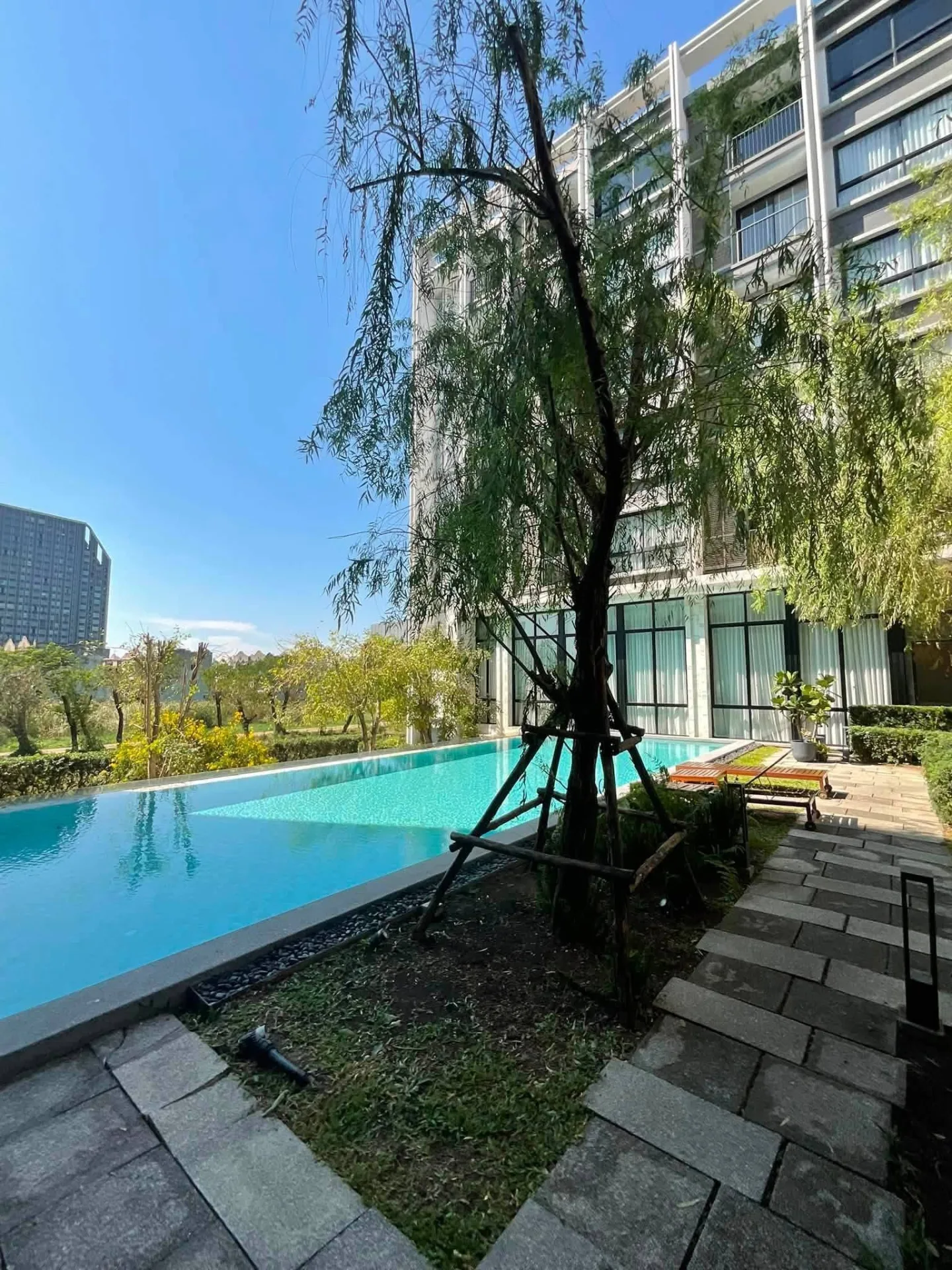 🏡 AVAILABLE | Dolce Lasalle Condo 📌